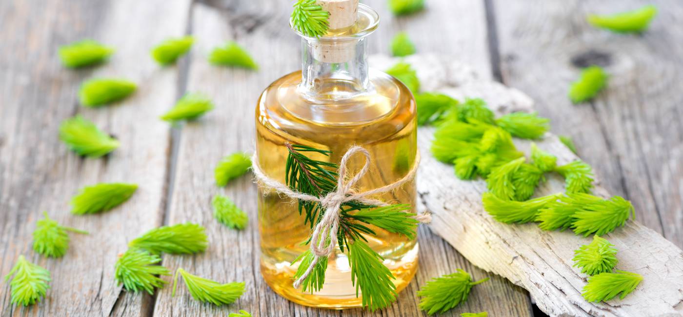 Maiwipferlsirup main image