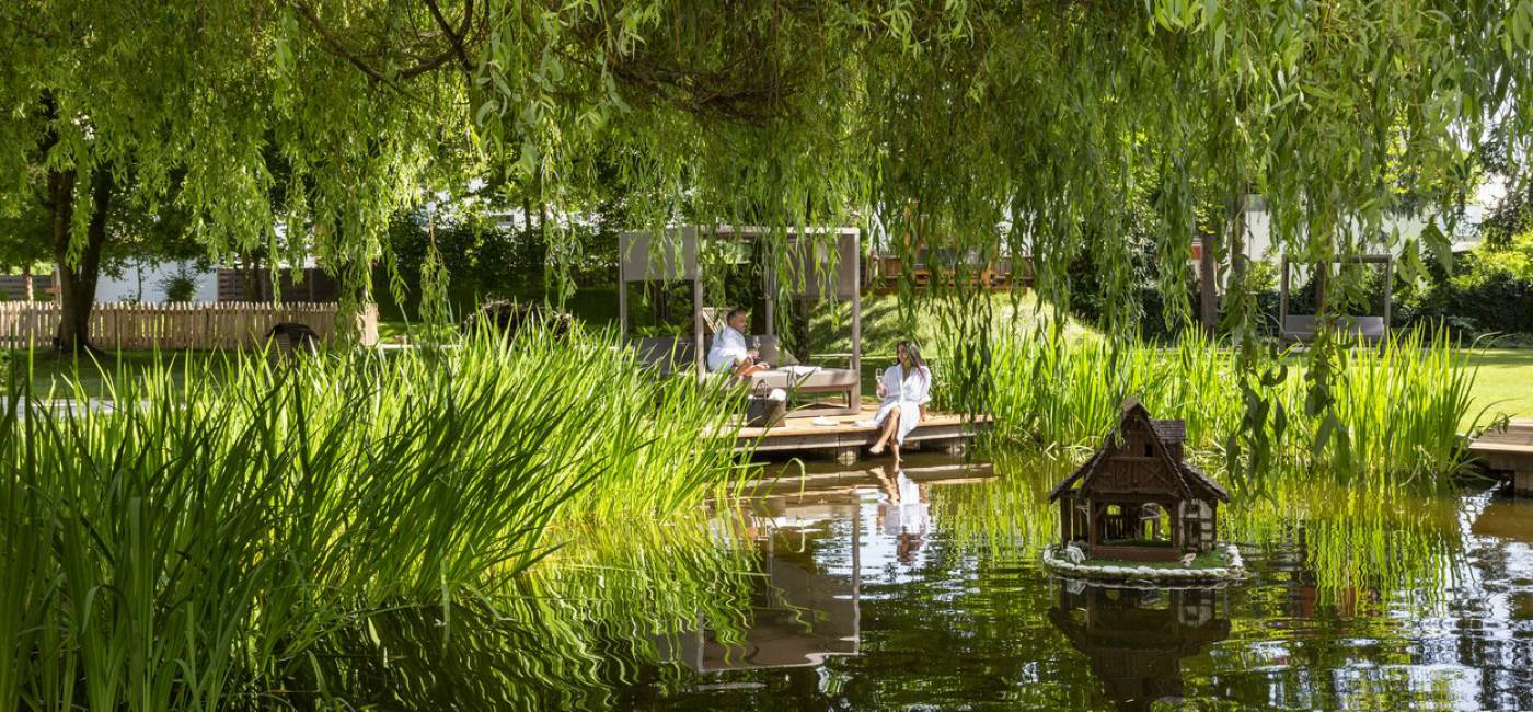 Spring Awakening in the Allgäu  main image