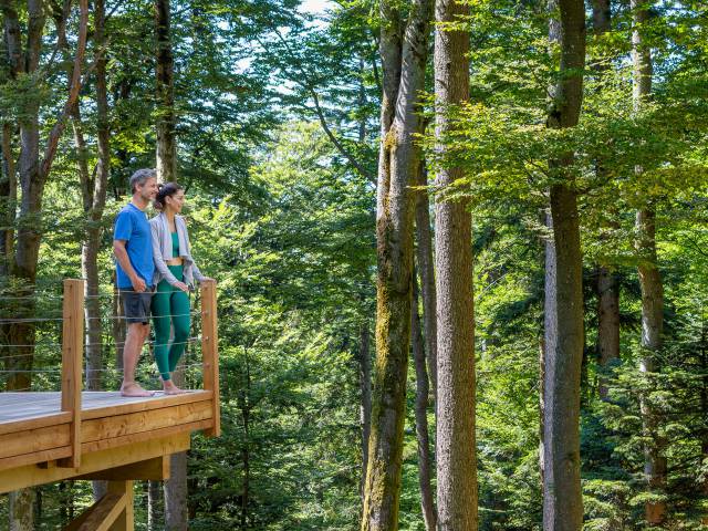Sommer, Sonne, Wellness im Wellness- und Naturresort Reischlhof - Leading Spa Resorts