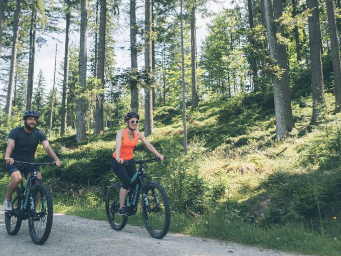 Discover nature in the Bavarian Forest Thumbnail