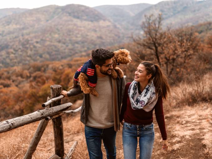 Aktive Auszeiten, Wellness und Urlaub mit Hund im Herbst Thumbnail