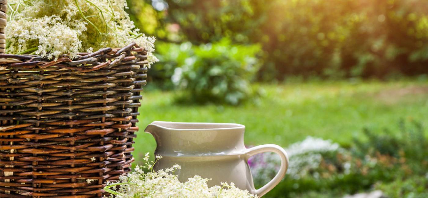 Elderflower syrup main image