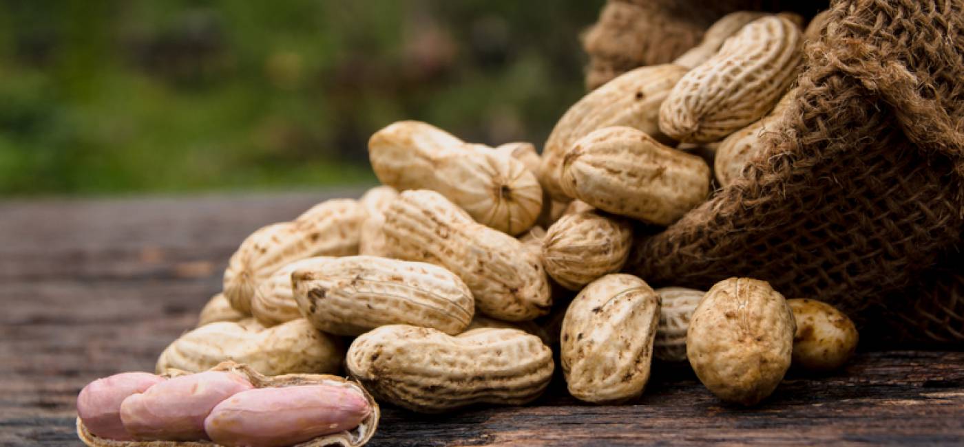 The power of the peanut – which is actually not a nut at all main image