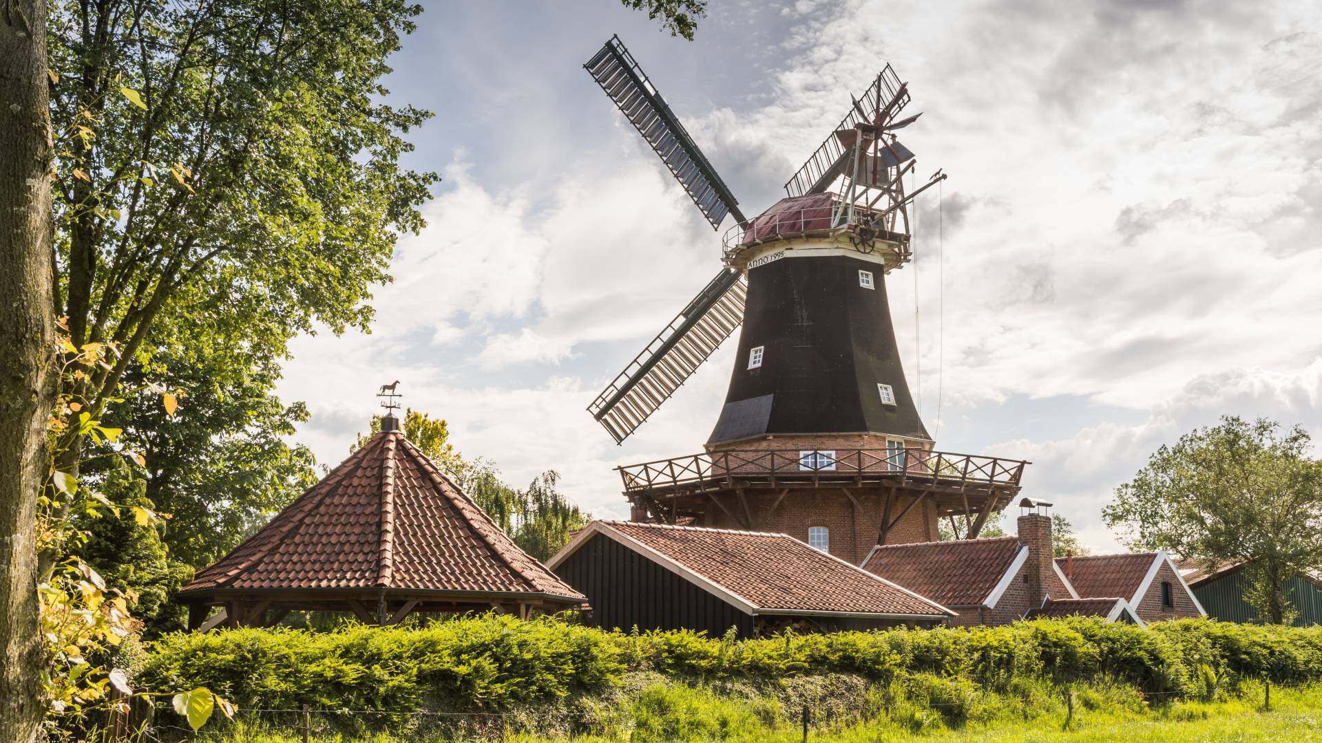Windmühle Rhaude in grüner Natur an der Niedersächsischen Mühlenstraße im Landkreis Leer, Ostfriesland, Niedersachsen, Deutschland