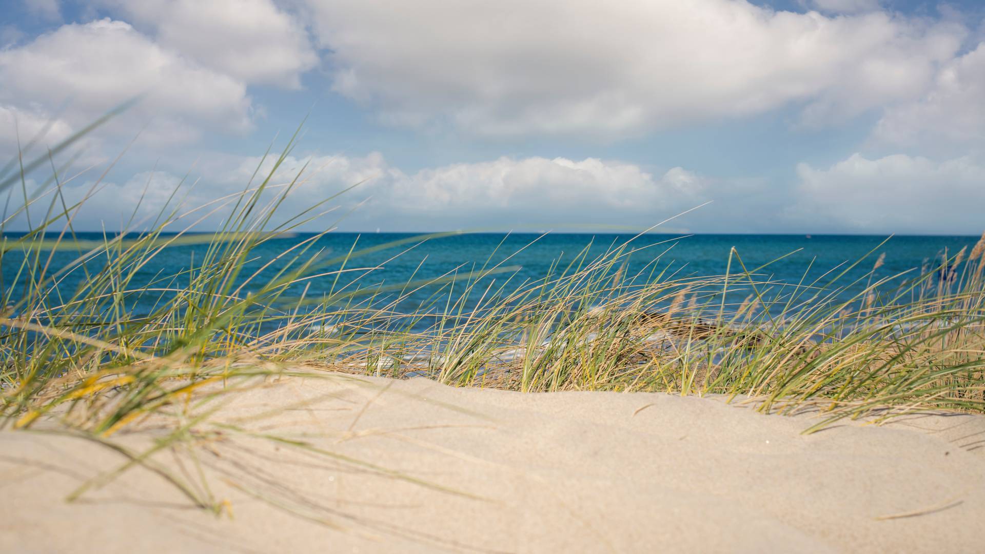 Ostseebad Kühlungsborn, Deutschland, Mecklenburg-Vorpommern, Sanddünne