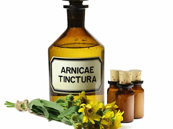 Arnica Thumbnail