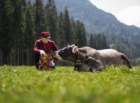 Astoria Resort Seefeld becomes Alpin Resort Sacher Seefeld-Tirol symbolic picture