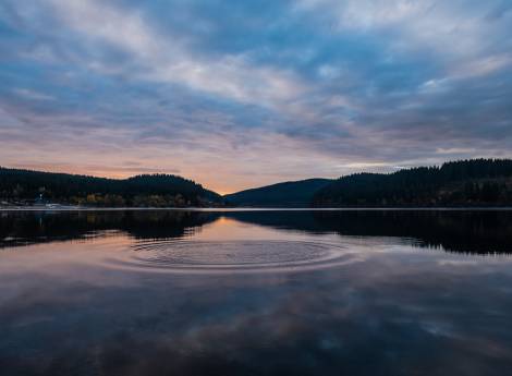 Yoga-Retreats im Schwarzwald  Symbolfoto