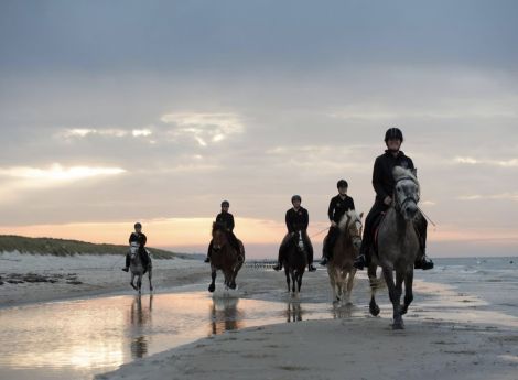 Freizeitaktivitäten im Strandhotel Dünenmeer – Erholung & Erlebnisse an der Ostsee Symbolfoto