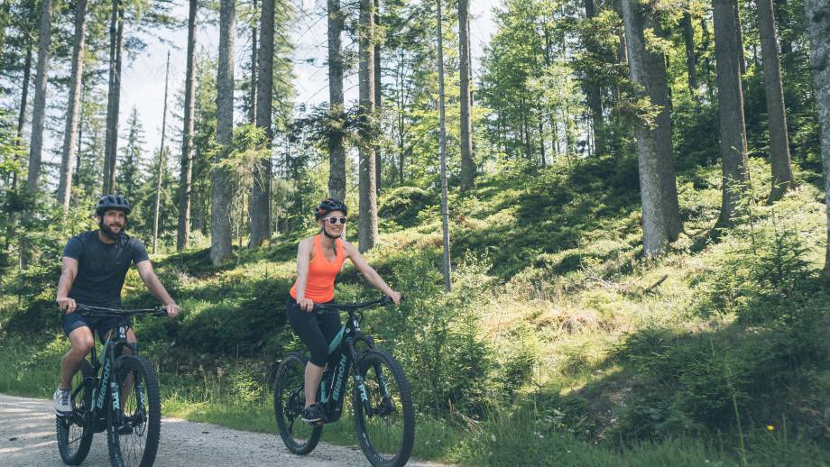 Discover nature in the Bavarian Forest symbolic picture