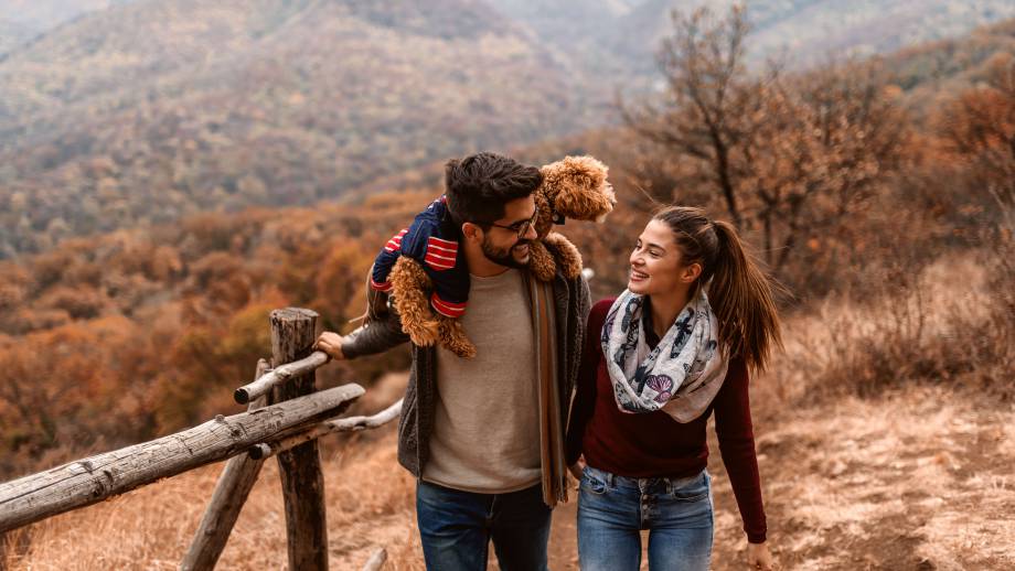Aktive Auszeiten, Wellness und Urlaub mit Hund im Herbst Symbolfoto